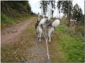 Tour Odenwald 102